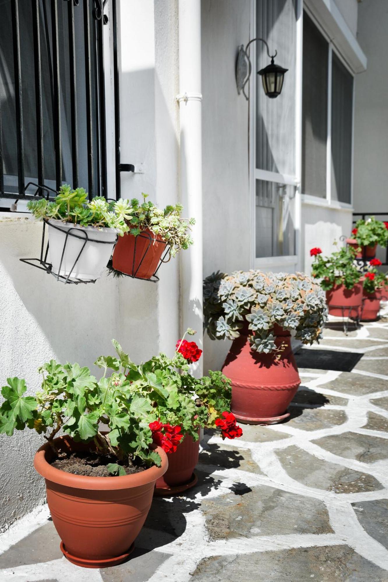 Rent House Daphne Apartment Kavala Exterior foto