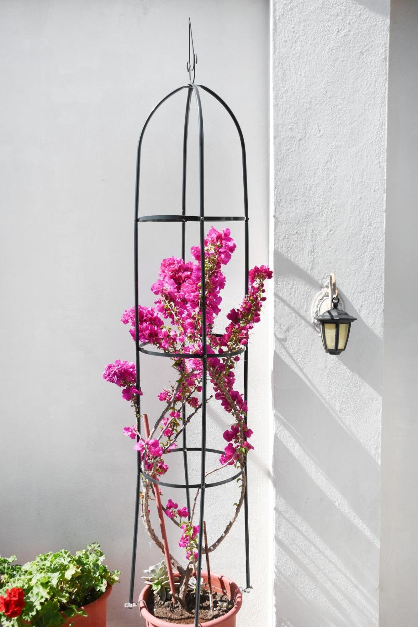 Rent House Daphne Apartment Kavala Exterior foto